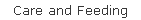 Care and Feeding